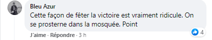 un inetrnaute comente la photo coupe arabe de la faf